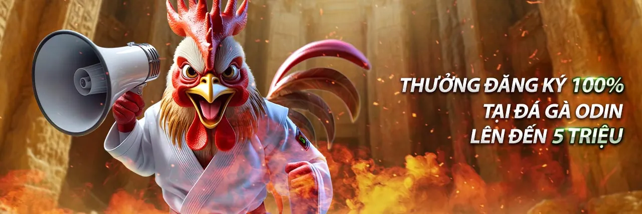 Tin Tức bet kucasino mới nhất và các sự kiện nổi bật 2026