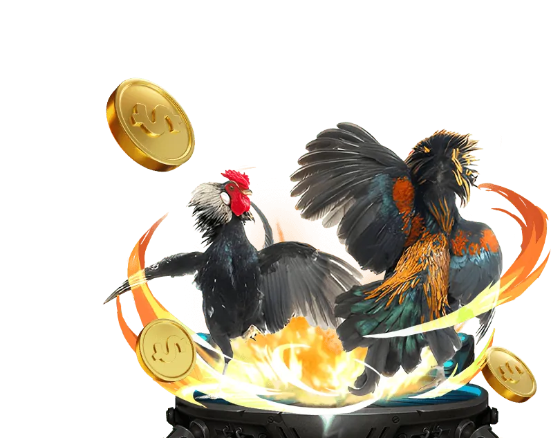 Hướng dẫn chọn nền tảng bet kucasino tốt nhất