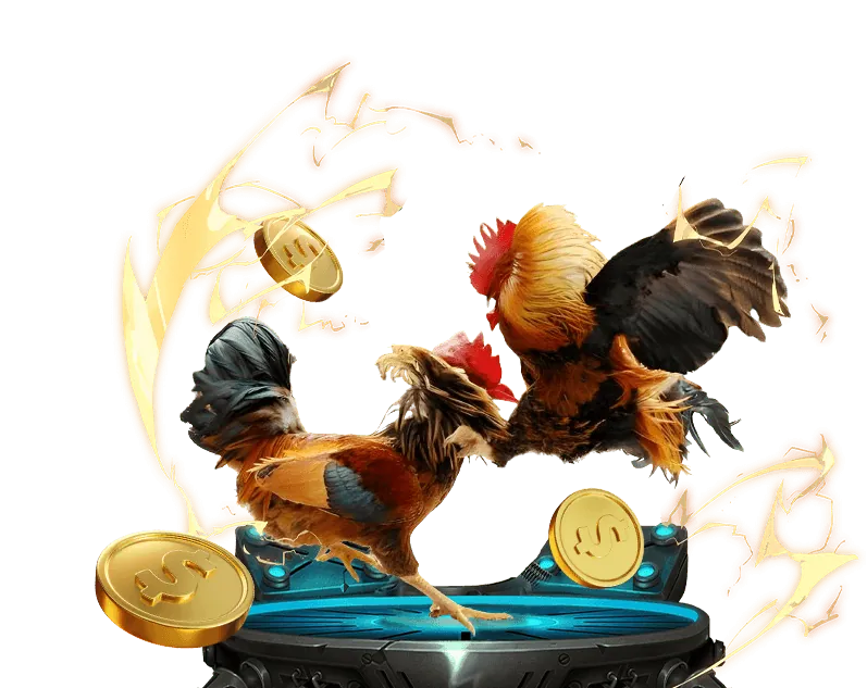 Các bước để trở thành đối tác của bet kucasino